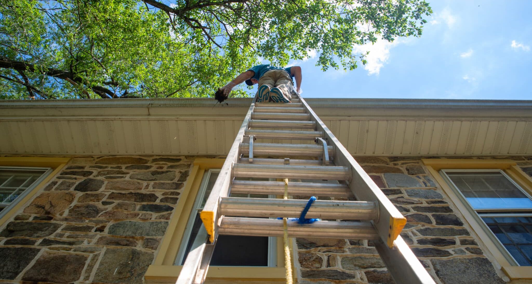 Man on a ladder cleans the gutters on an old Pennsylvania stone home with blue sky and green trees overhead. Low angle view shot in natural light with copy space.